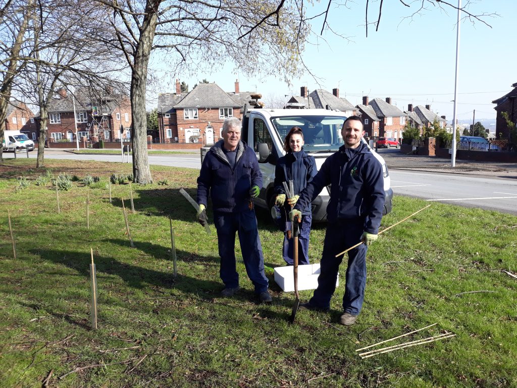 New fruit & nut bushes for Belle Isle Circus