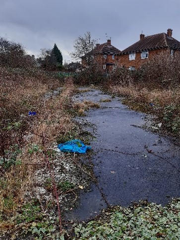 View of the site as it is now